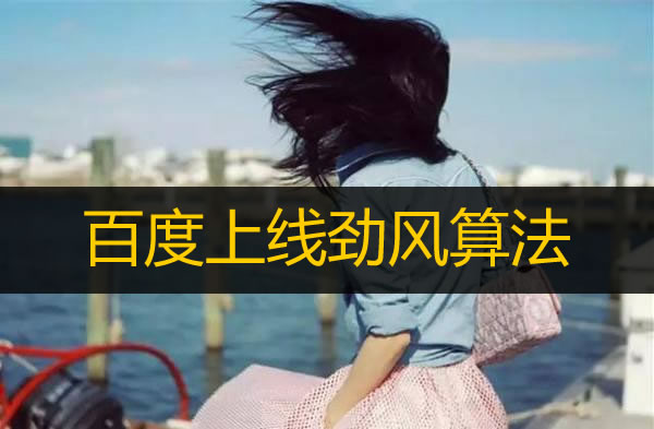 �ٶȾ����㷨����������ﾩ��һ��ͬ�ʣ�